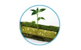 SMALTIMENTO MATERIALI